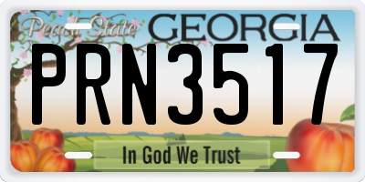 GA license plate PRN3517