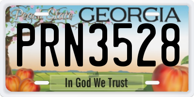 GA license plate PRN3528