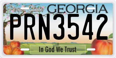 GA license plate PRN3542
