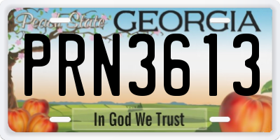 GA license plate PRN3613
