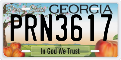 GA license plate PRN3617