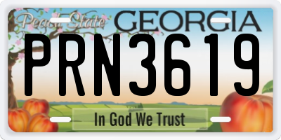 GA license plate PRN3619