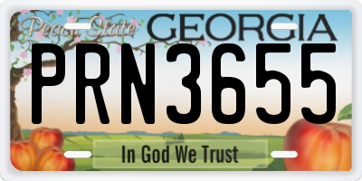 GA license plate PRN3655