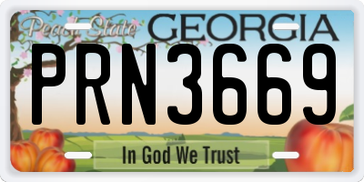 GA license plate PRN3669