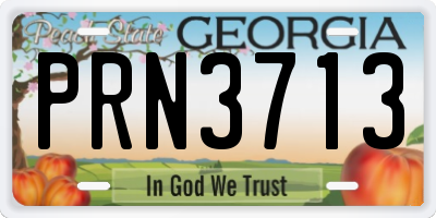 GA license plate PRN3713