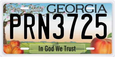 GA license plate PRN3725