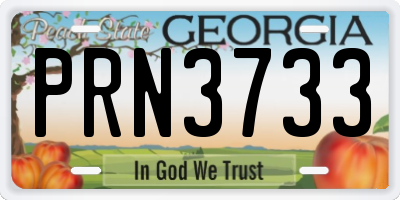 GA license plate PRN3733