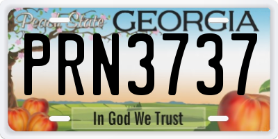 GA license plate PRN3737