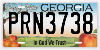 GA license plate PRN3738