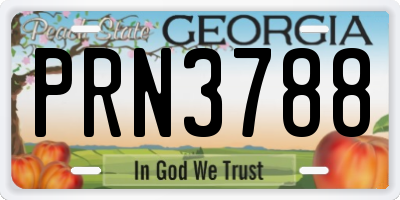 GA license plate PRN3788