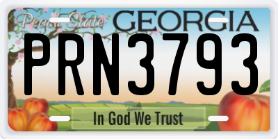 GA license plate PRN3793