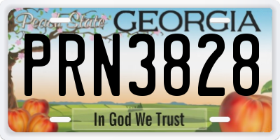 GA license plate PRN3828