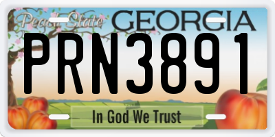 GA license plate PRN3891