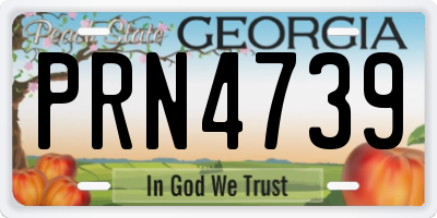 GA license plate PRN4739