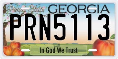 GA license plate PRN5113
