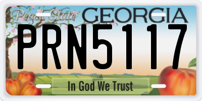 GA license plate PRN5117