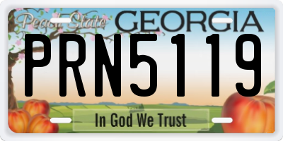 GA license plate PRN5119