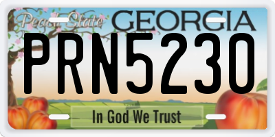 GA license plate PRN5230
