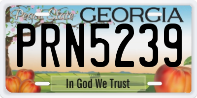 GA license plate PRN5239