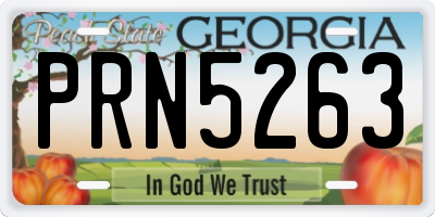 GA license plate PRN5263