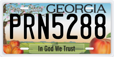 GA license plate PRN5288