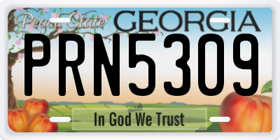 GA license plate PRN5309
