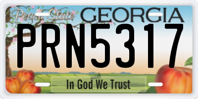 GA license plate PRN5317