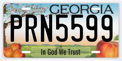 GA license plate PRN5599