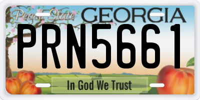 GA license plate PRN5661