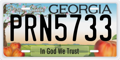 GA license plate PRN5733