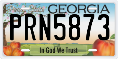 GA license plate PRN5873