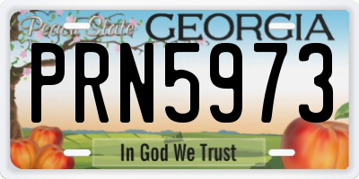 GA license plate PRN5973