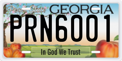 GA license plate PRN6001