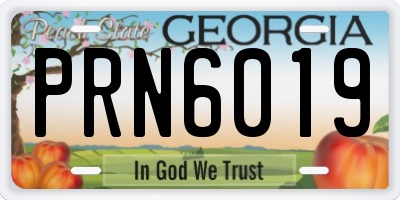 GA license plate PRN6019