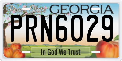 GA license plate PRN6029