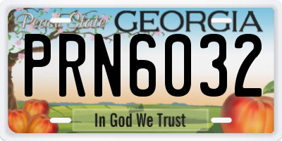 GA license plate PRN6032