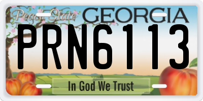 GA license plate PRN6113