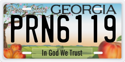 GA license plate PRN6119