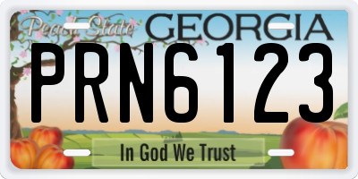 GA license plate PRN6123