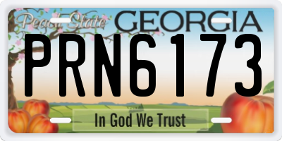 GA license plate PRN6173