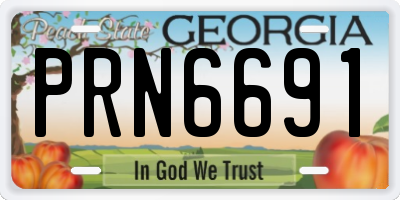 GA license plate PRN6691