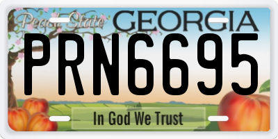 GA license plate PRN6695