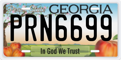 GA license plate PRN6699