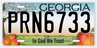 GA license plate PRN6733