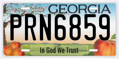 GA license plate PRN6859