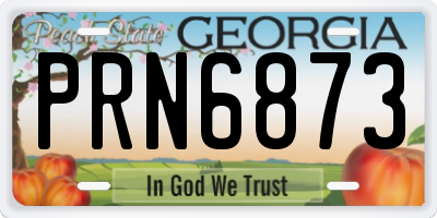 GA license plate PRN6873