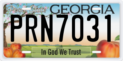GA license plate PRN7031