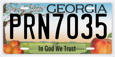 GA license plate PRN7035