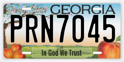 GA license plate PRN7045