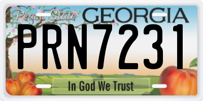 GA license plate PRN7231